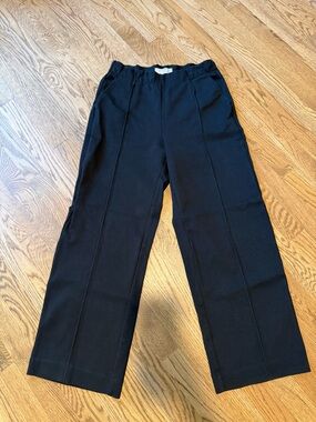 Everlane “Easy Pant” size small.